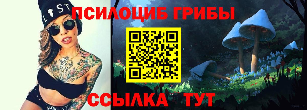 Псилоцибиновые грибы Magic Shrooms Новокузнецк